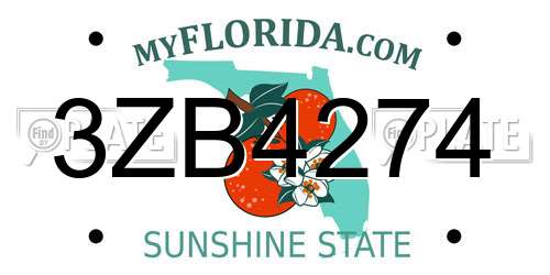 3ZB4274 Florida License Plate