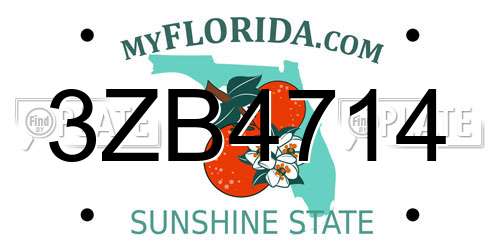 3ZB4714 Florida License Plate