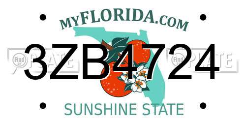 3ZB4724 Florida License Plate