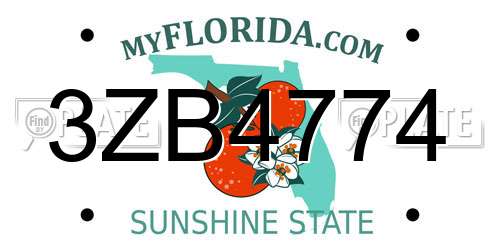 3ZB4774 Florida License Plate