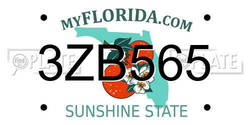 3ZB565 Florida License Plate