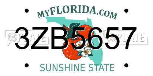 3ZB5657 Florida License Plate