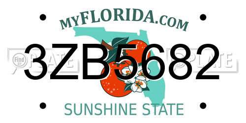 3ZB5682 Florida License Plate