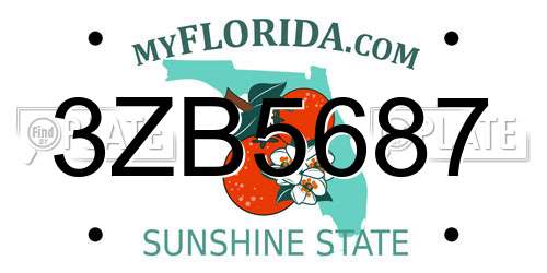 3ZB5687 Florida License Plate