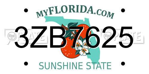 3ZB7625 Florida License Plate