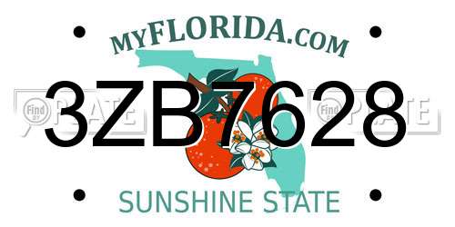 3ZB7628 Florida License Plate
