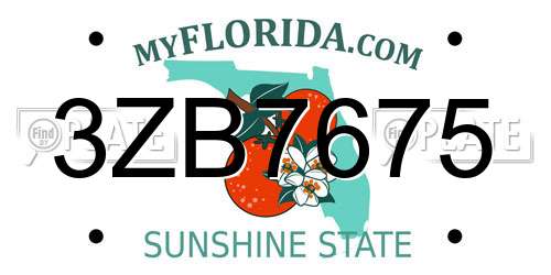 3ZB7675 Florida License Plate