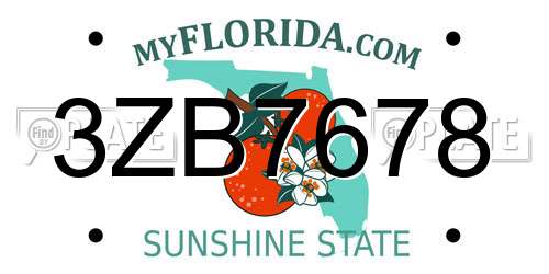 3ZB7678 Florida License Plate