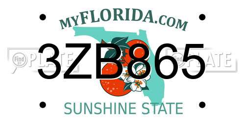 3ZB865 Florida License Plate