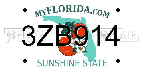 3ZB914 Florida License Plate