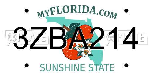 3ZBA214 Florida License Plate