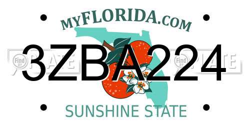 3ZBA224 Florida License Plate