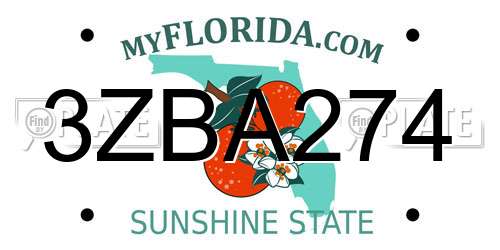 3ZBA274 Florida License Plate