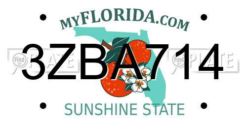 3ZBA714 Florida License Plate