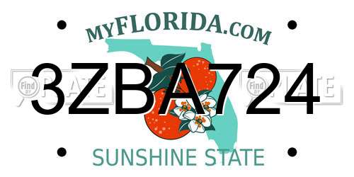 3ZBA724 Florida License Plate