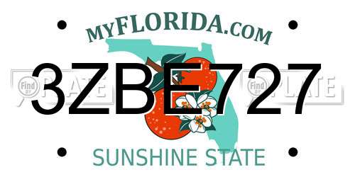 3ZBE727 Florida License Plate