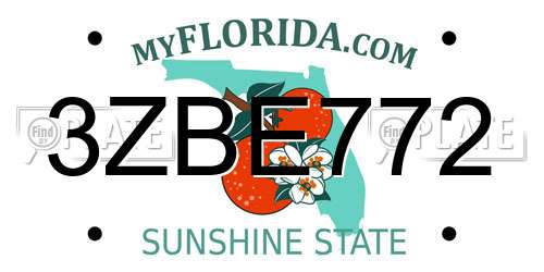 3ZBE772 Florida License Plate