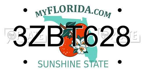 3ZBT628 Florida License Plate