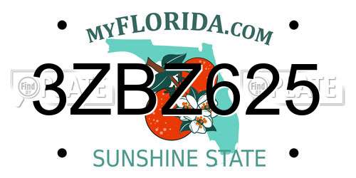 3ZBZ625 Florida License Plate