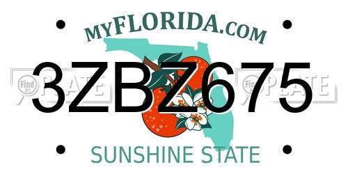 3ZBZ675 Florida License Plate