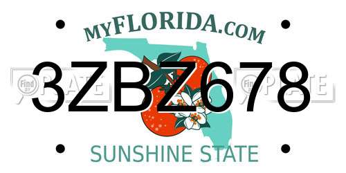 3ZBZ678 Florida License Plate