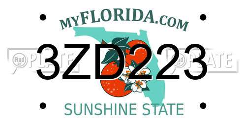 3ZD223 Florida License Plate