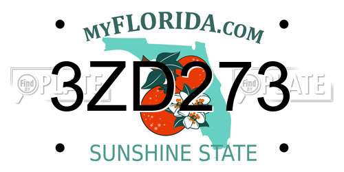 3ZD273 Florida License Plate