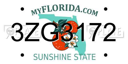 3ZG3172 Florida License Plate