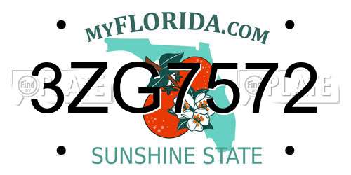 3ZG7572 Florida License Plate