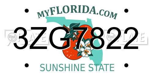 3ZG7822 Florida License Plate