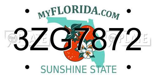 3ZG7872 Florida License Plate