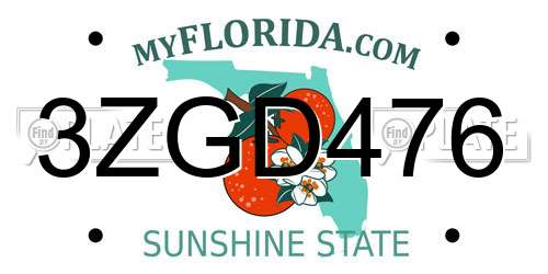 3ZGD476 Florida License Plate