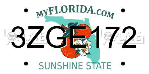 3ZGE172 Florida License Plate