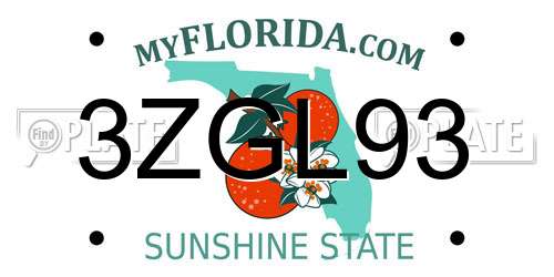 3ZGL93 Florida License Plate
