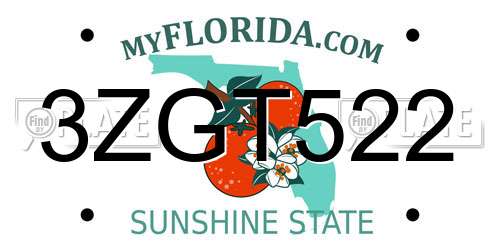 3ZGT522 Florida License Plate