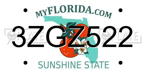 3ZGZ522 Florida License Plate