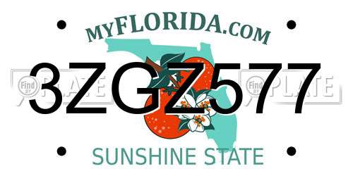 3ZGZ577 Florida License Plate