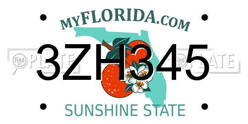 3ZH345 Florida License Plate
