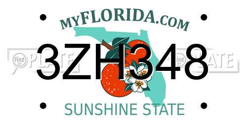 3ZH348 Florida License Plate