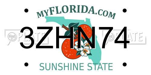 3ZHN74 Florida License Plate