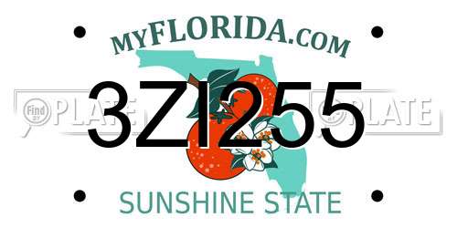 3ZI255 Florida License Plate