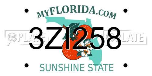 3ZI258 Florida License Plate