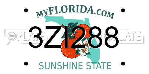 3ZI288 Florida License Plate
