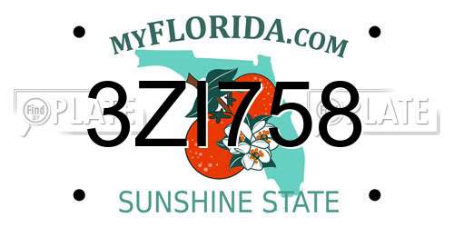 3ZI758 Florida License Plate