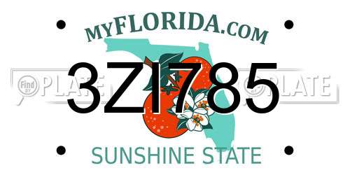 3ZI785 Florida License Plate
