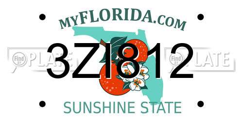 3ZI812 Florida License Plate