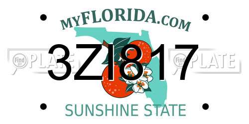 3ZI817 Florida License Plate