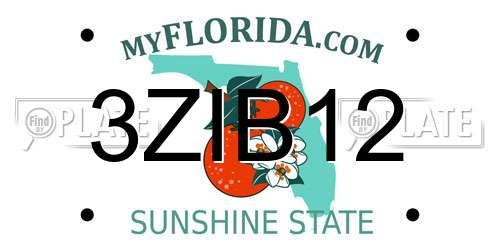 3ZIB12 Florida License Plate