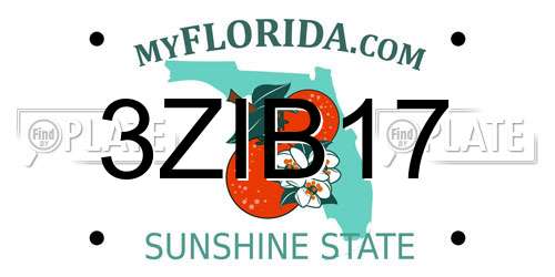3ZIB17 Florida License Plate