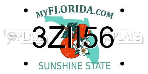 3ZII56 Florida License Plate